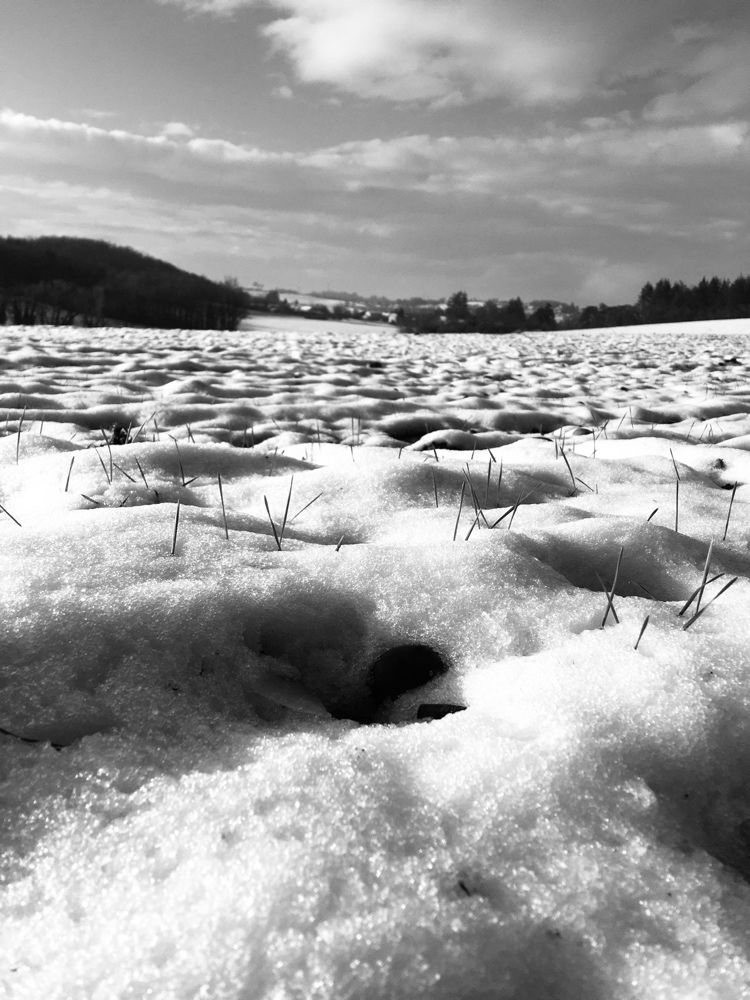 La neige est tombée sans pleurer