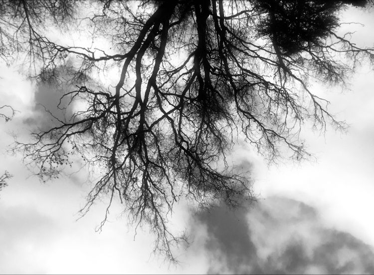 Une journée, puis 2, puis 3 … le ciel n’est pas au bleu. Une journée, puis 2, puis 3 … le ciel n’est pas au bleu.