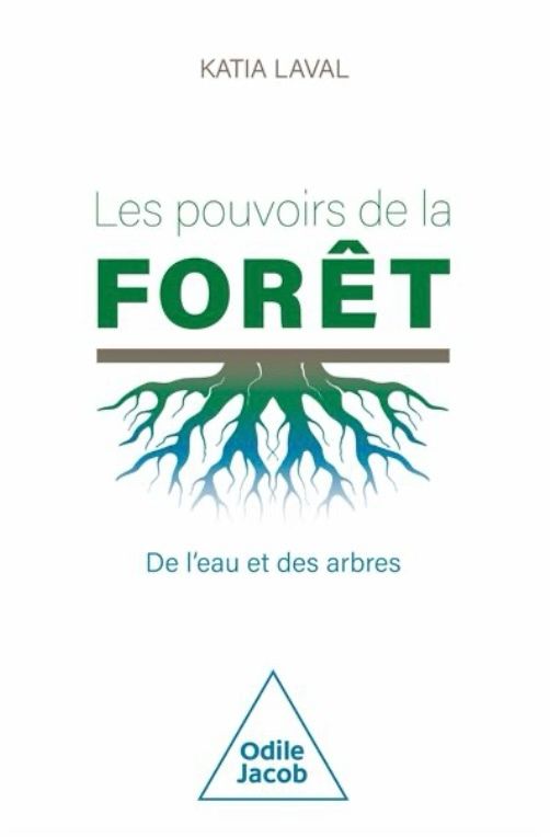 Les pouvoirs de la forêt