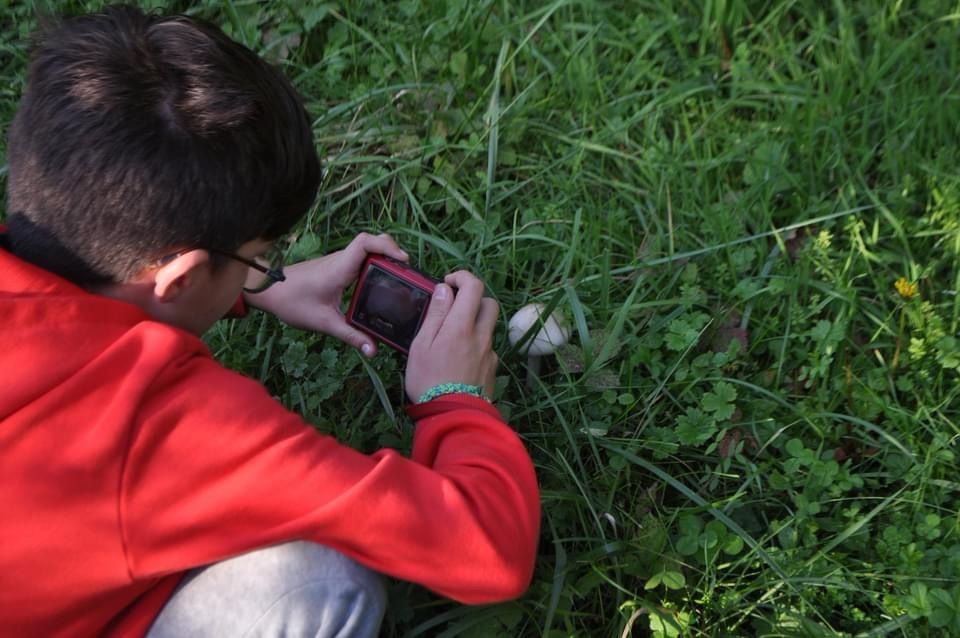 Sortir du quartier … voir la biodiversité