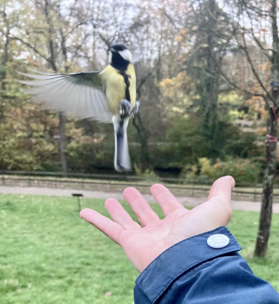 Quand la nature n’est plus