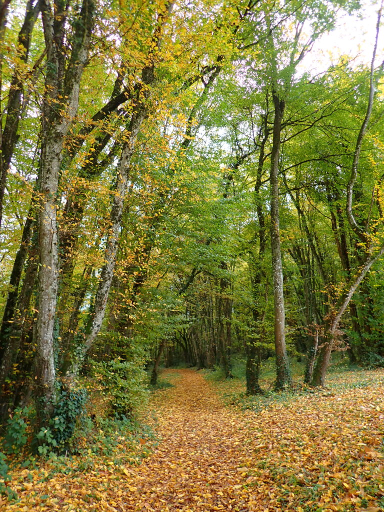 Le soleil n’avait pas souhaité